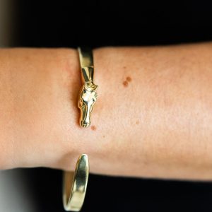 The Ooh La La Bangle by Equine Evolve