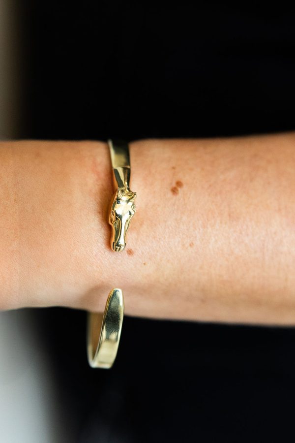 The Ooh La La Bangle by Equine Evolve