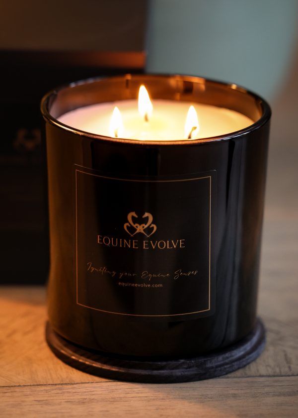 Equine Evolve Signature Candle - Image 5